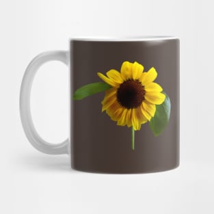 Sunflowers - Golden Sunflower Mug